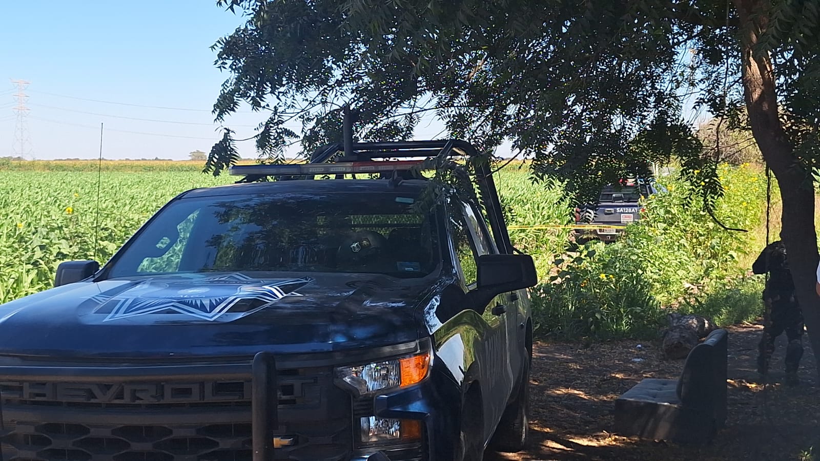 Autoridades resguardan el lugar donde un adulto mayor fue encontrado en estado de descomposición en Navolato