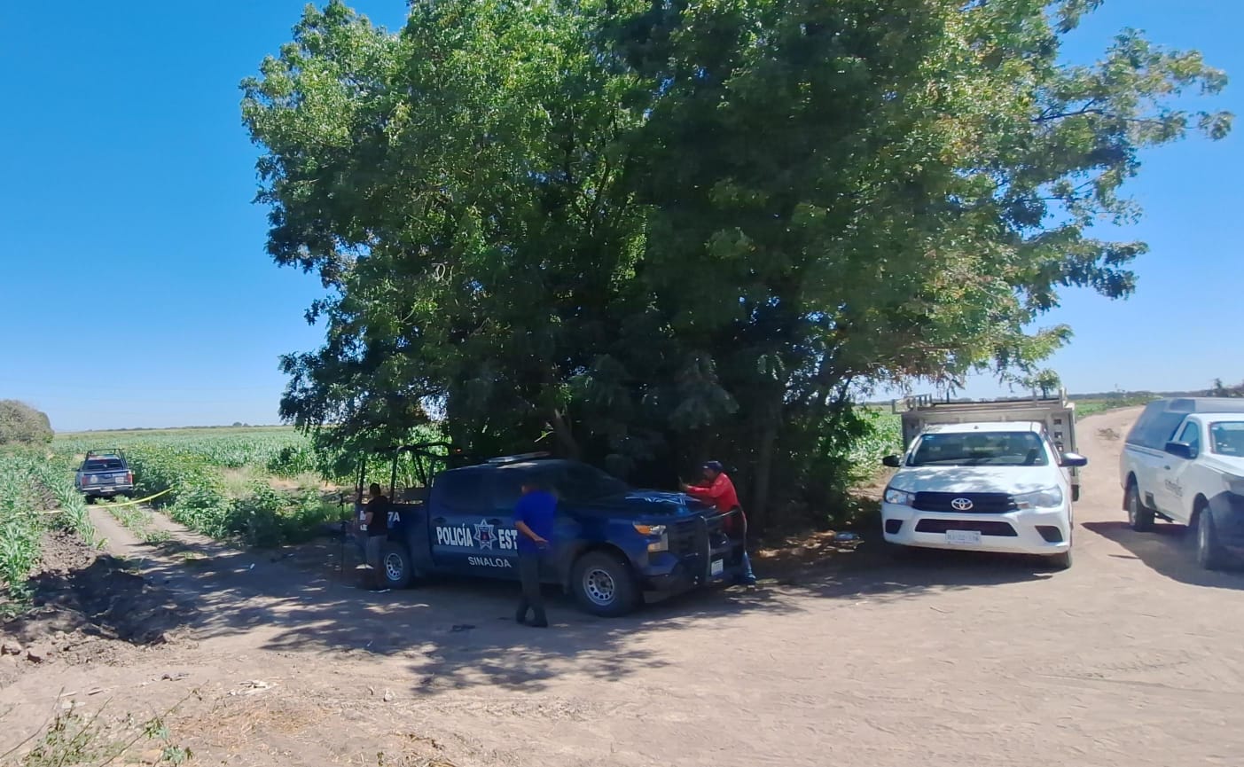 Autoridades resguardan el lugar donde un adulto mayor fue encontrado en estado de descomposición en Navolato