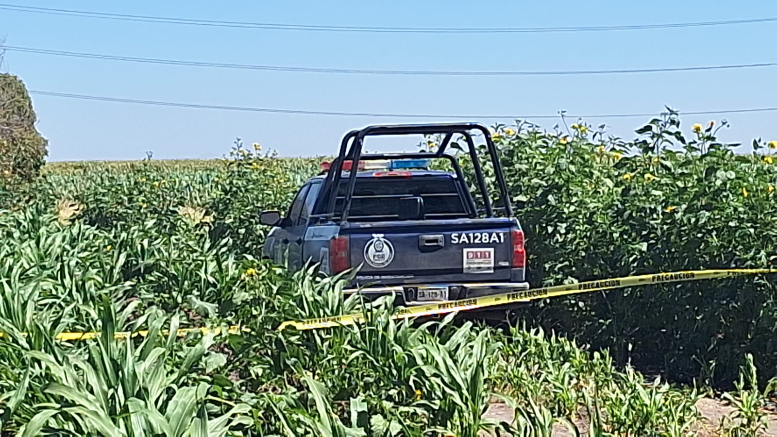 Autoridades resguardan el lugar donde un adulto mayor fue encontrado en estado de descomposición en Navolato