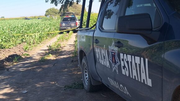 Hallan en avanzado estado de descomposición a un adulto mayor en Navolato