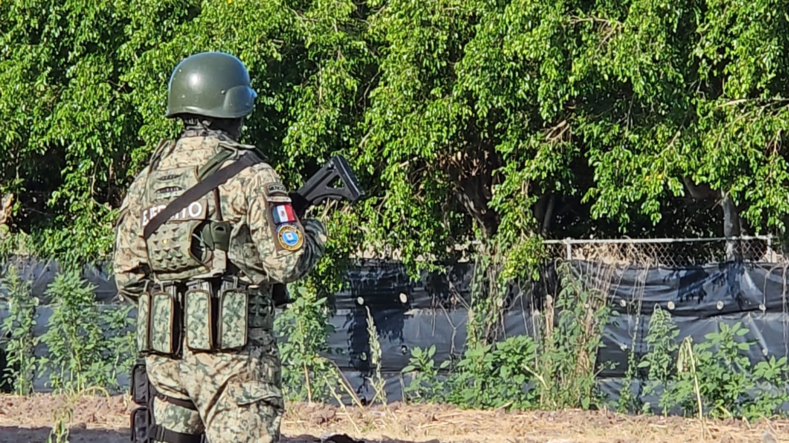 Encuentran asesinado a un hombre en Navolato