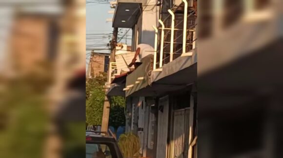 Sujeto en Mazatlán agrede a perro con una varilla; vecinos captaron los hechos
