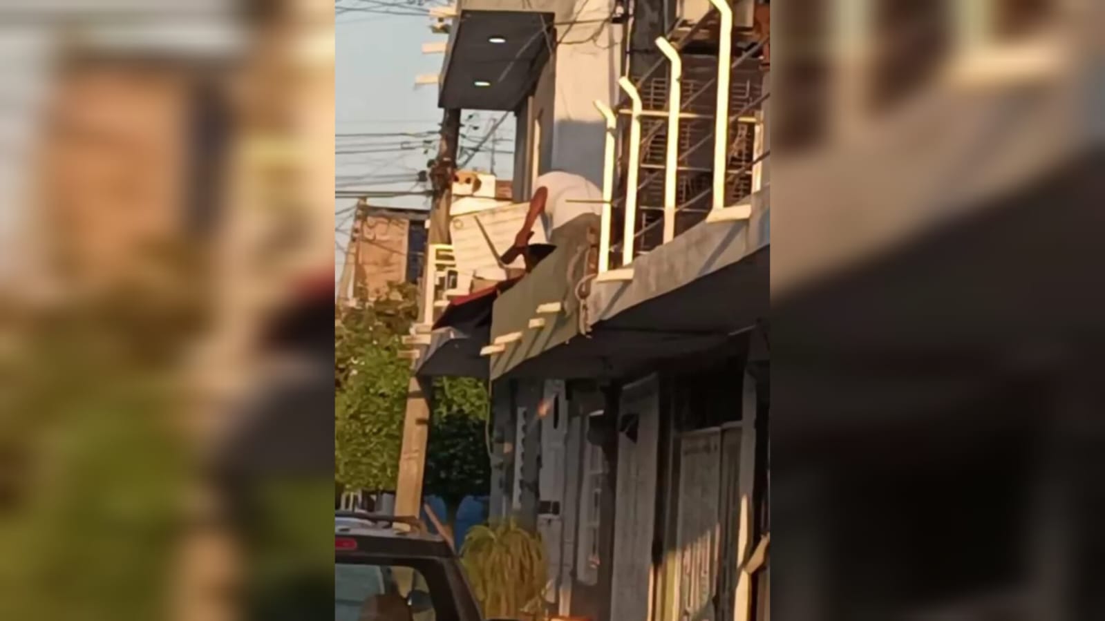 hombre ataca a perro en mazatlan