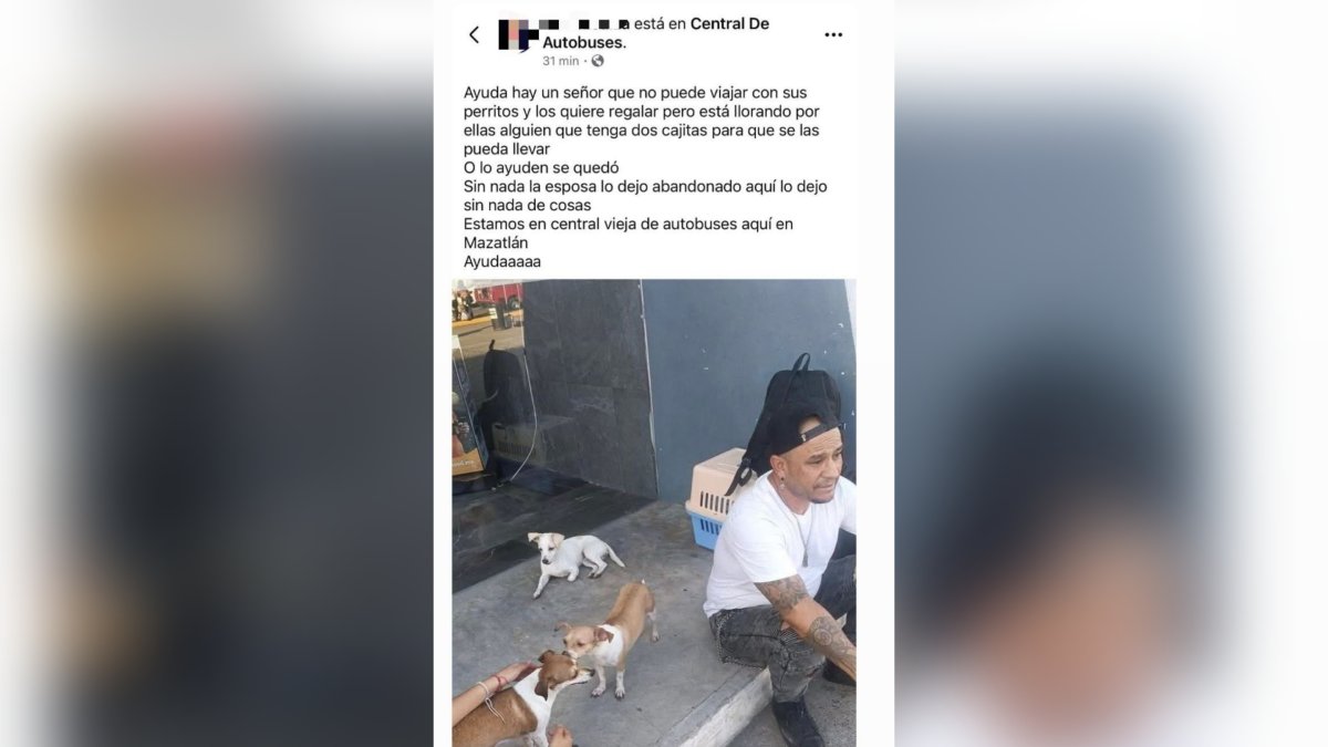 hombre mochitense y sus tres fieles compañeras perrunas