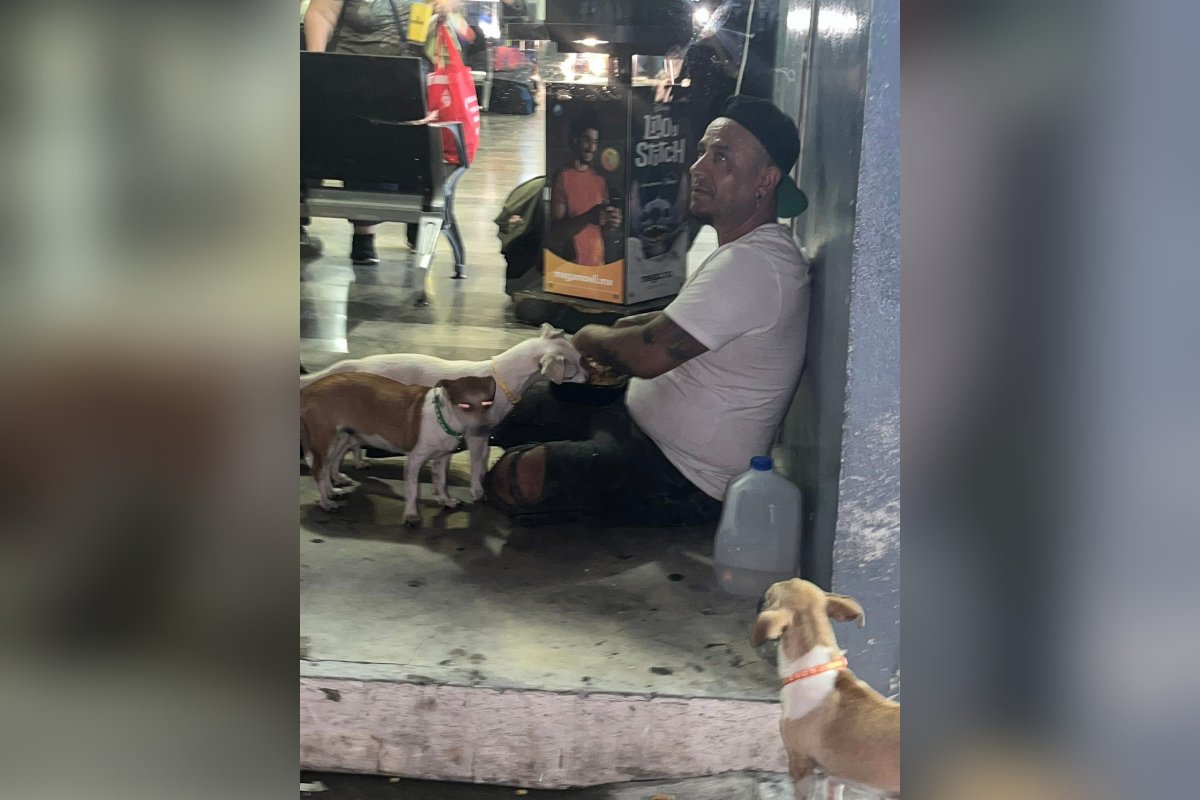 hombre mochitense y sus tres fieles compañeras perrunas