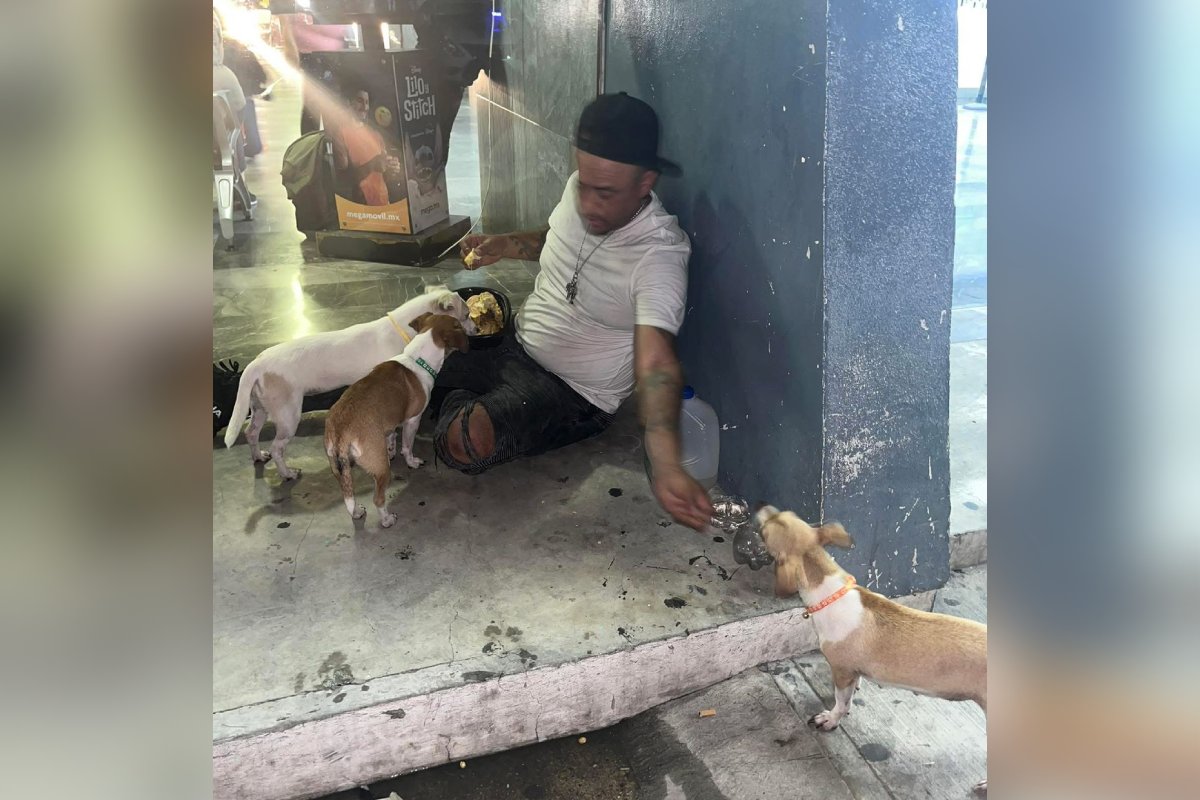 hombre mochitense y sus tres fieles compañeras perrunas