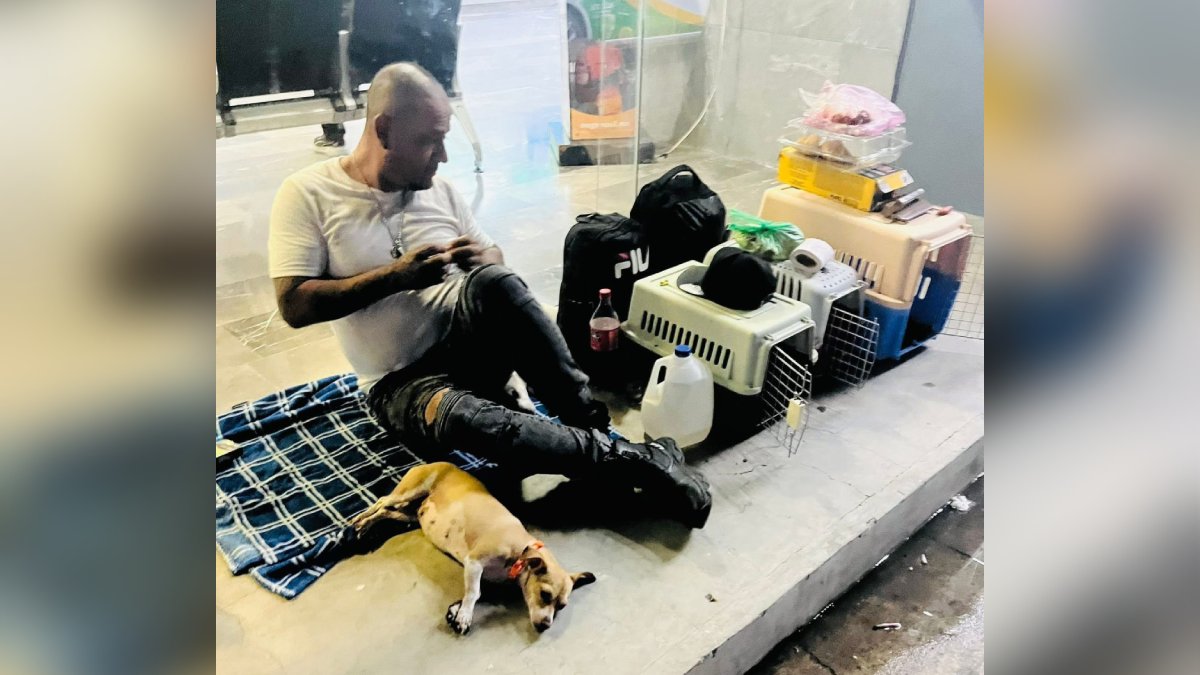 hombre mochitense y sus tres fieles compañeras perrunas
