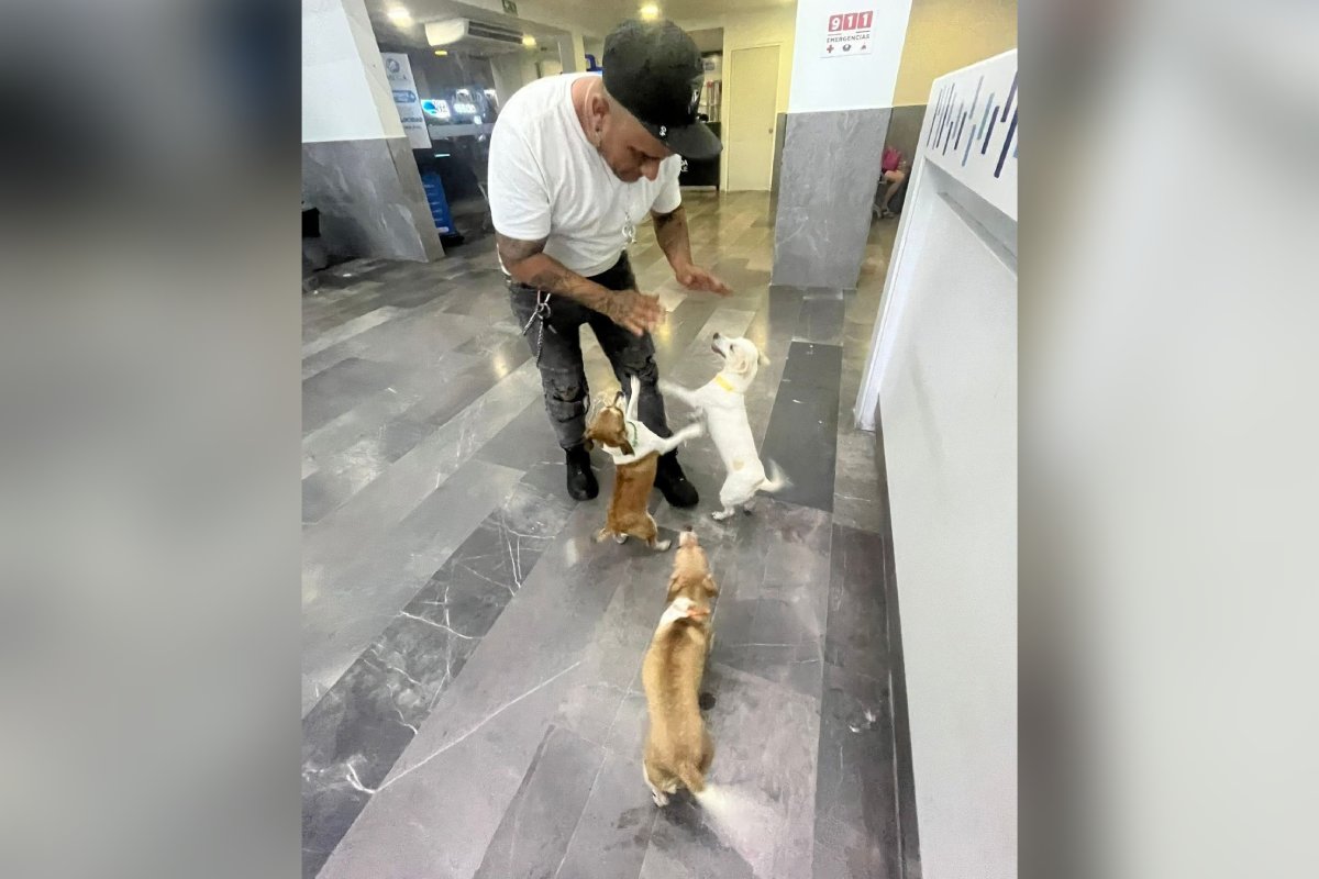 hombre mochitense y sus tres fieles compañeras perrunas