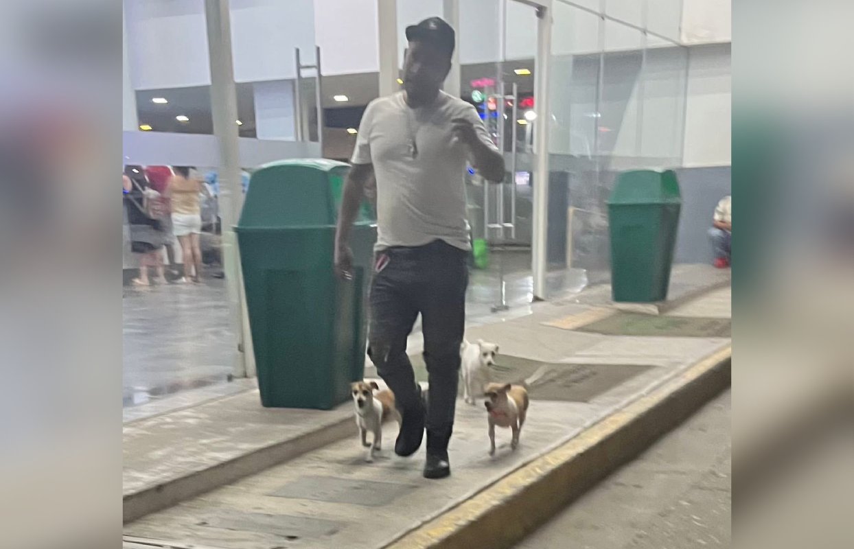 hombre mochitense y sus tres fieles compañeras perrunas