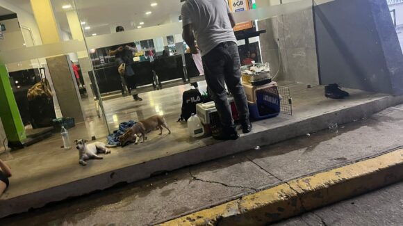‘Solidaridad sobre ruedas’, sinaloenses logran reunir fondos para que hombre y sus tres perritas regresen a casa