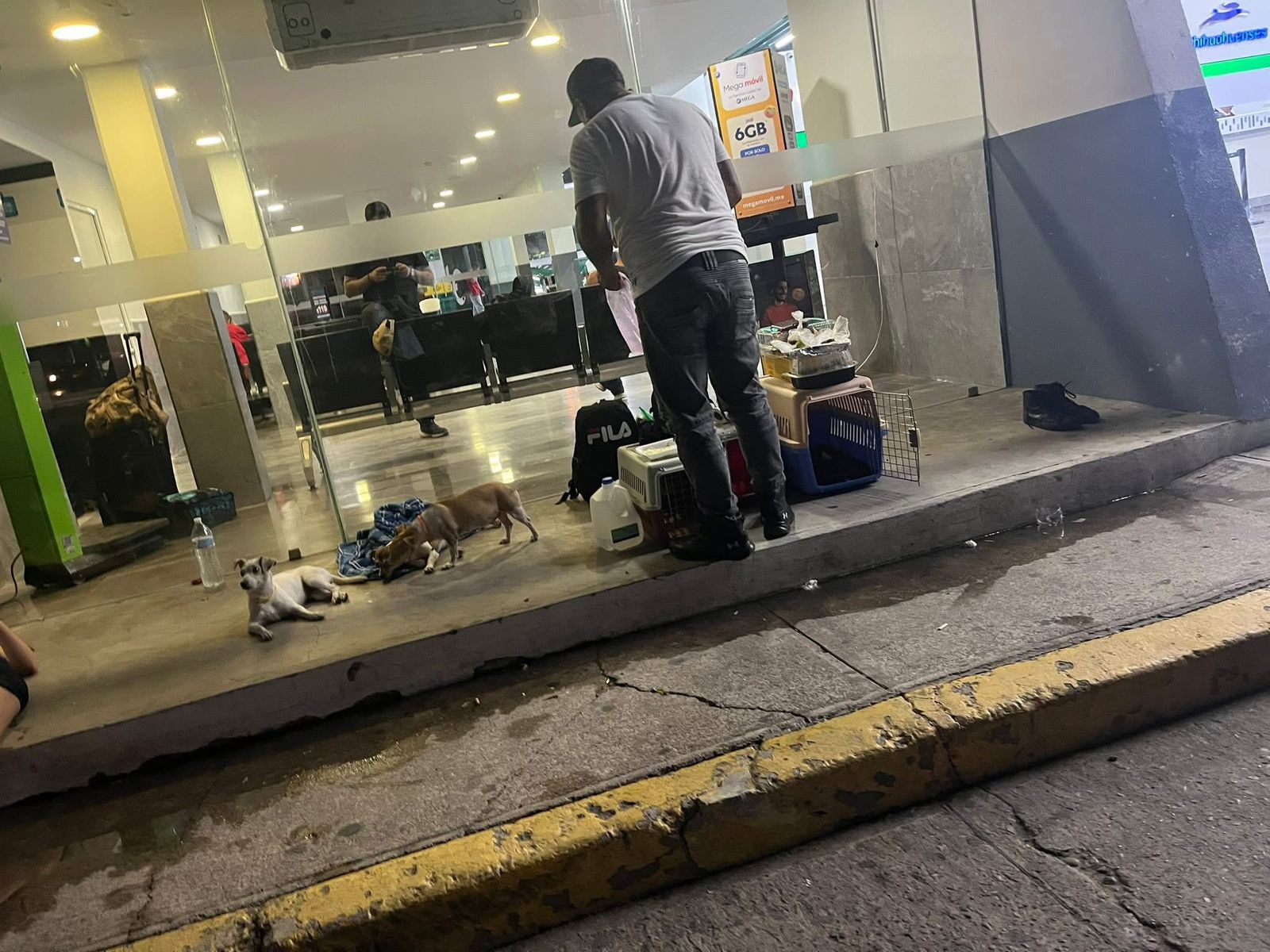 hombre mochitense y sus tres fieles compañeras perrunas