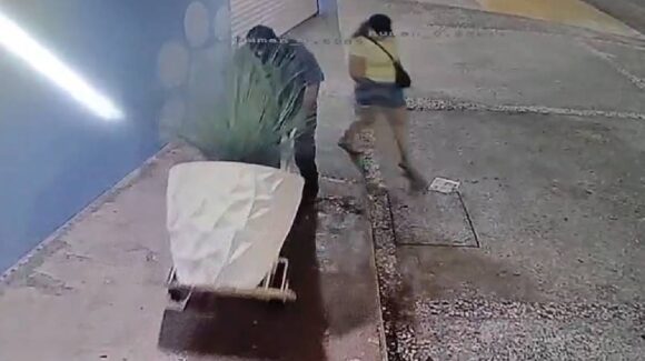 Video: Mujer y hombre con pasamontañas se roban maceta de 20 mil pesos en Culiacán