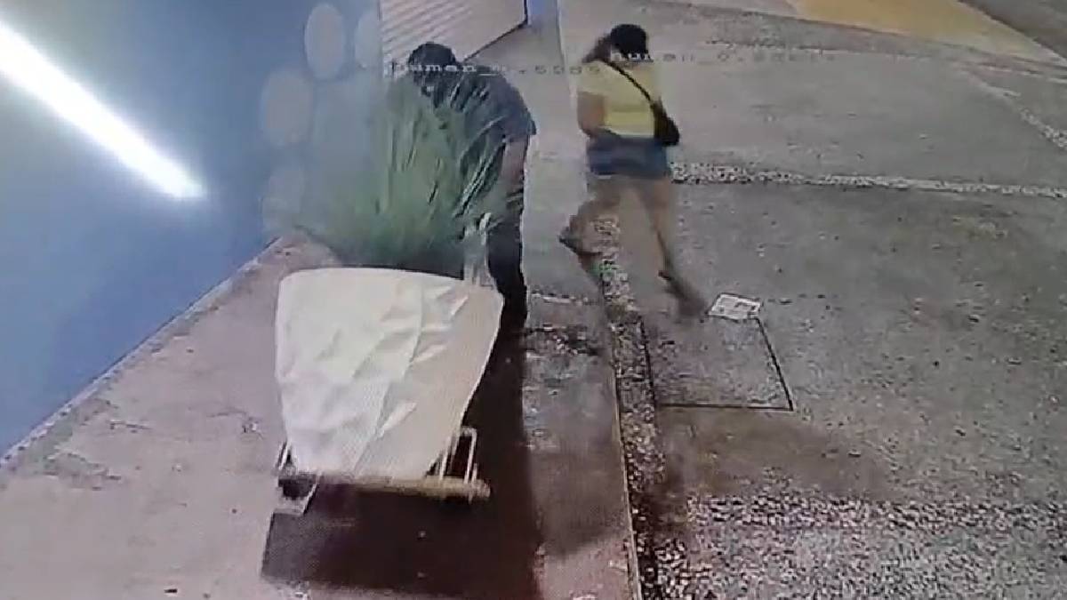 Mujer y hombre con pasamontañas se roban maceta