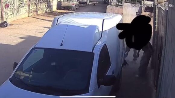 Triste e indignante: vecinos de la colonia Tierra y Libertad atacan a machetazos a un perrito en Guasave