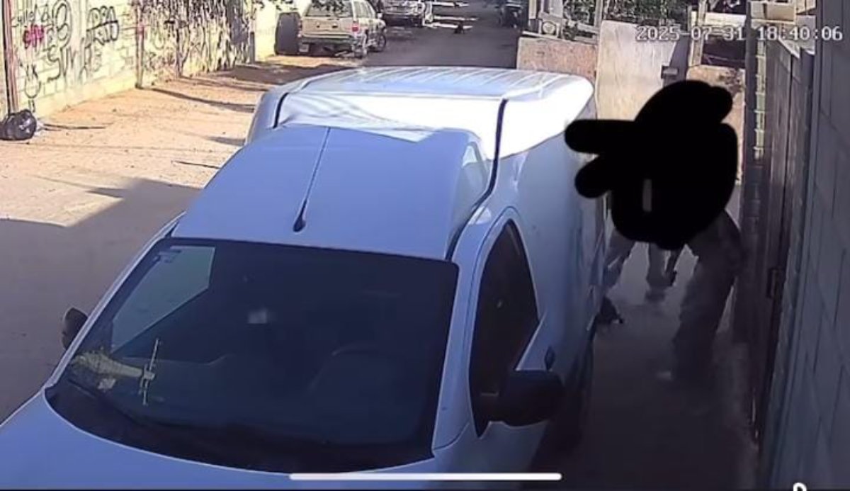 hombres atacan con machetes a cachorro de perro