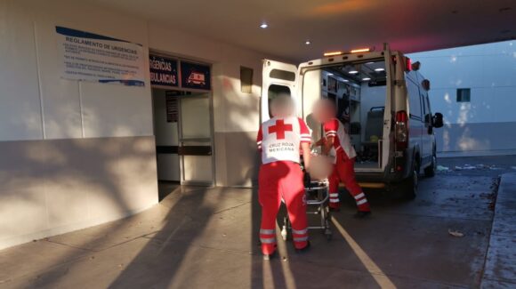 Hombre resulta electrocutado al cortar un árbol en el ejido Felipe Ángeles, Ahome