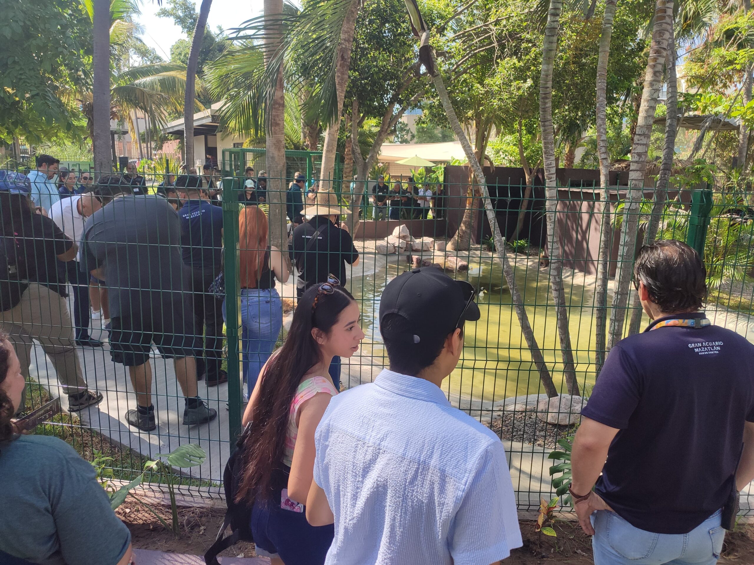 Inauguran la casa del capibara en el Gran Acuario de Mazatlán