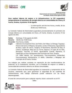 informacion de la cfe