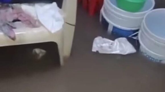 Solo daños materiales tras inundaciones en Genaro Estrada, Sinaloa municipio