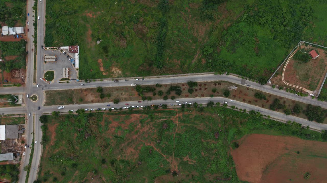 Arborización y embellecimiento en Mazatlán
