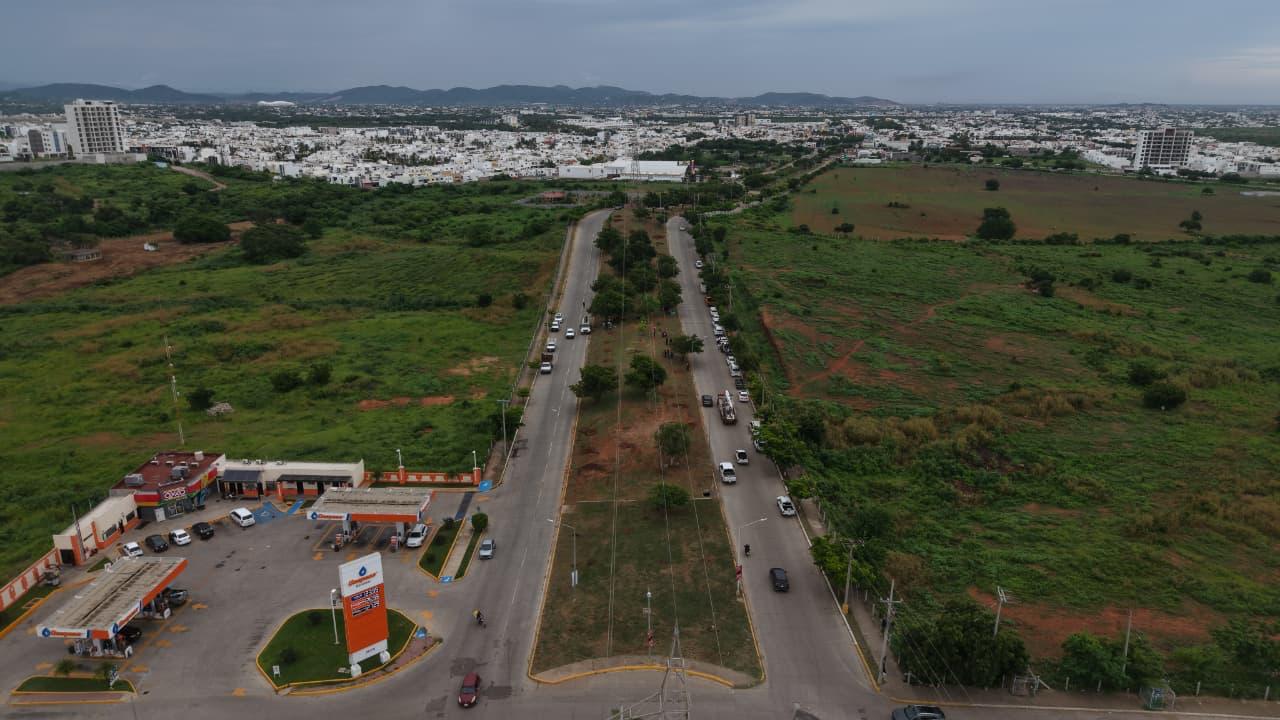 Arborización y embellecimiento en Mazatlán