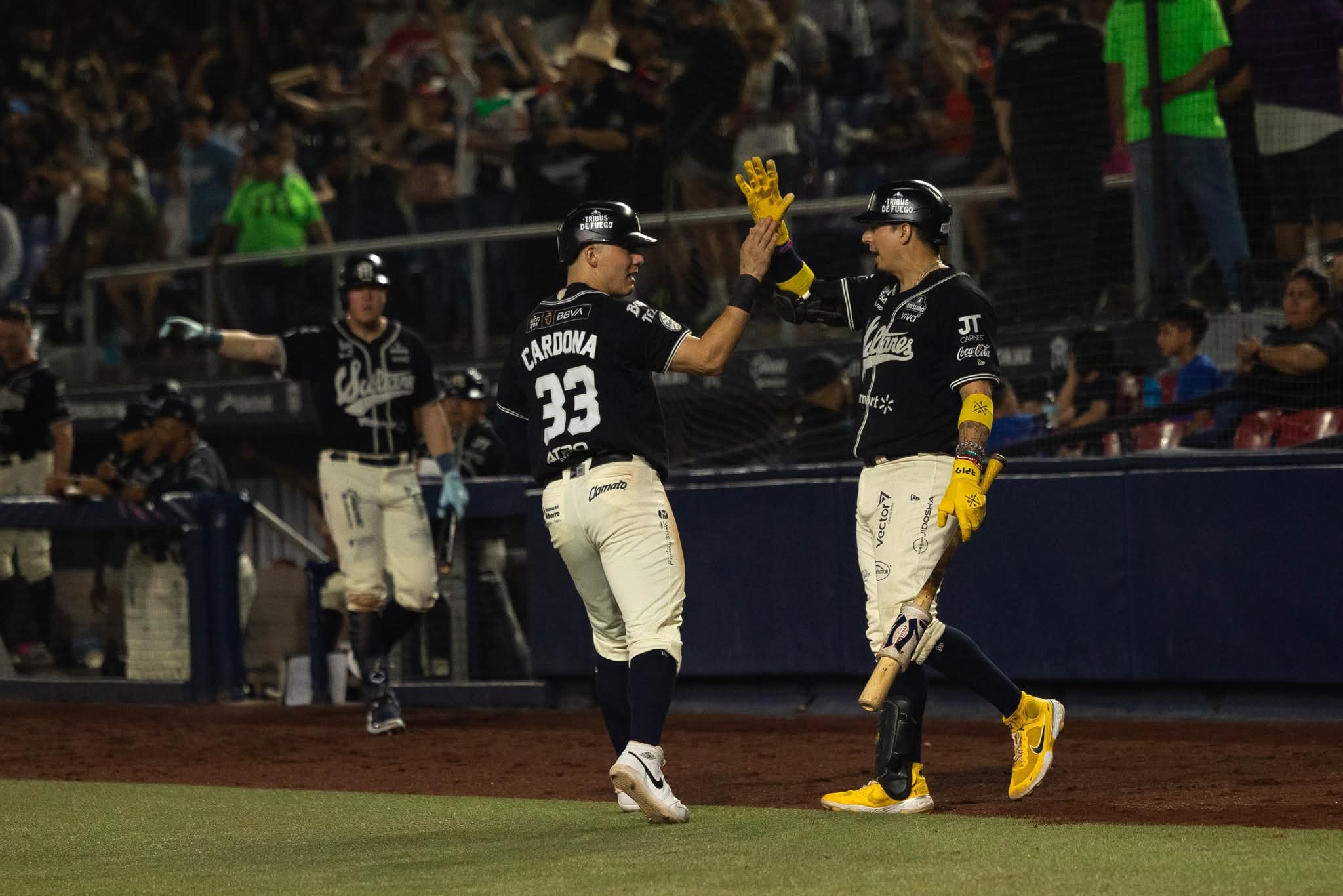liga mexicana de beisbol