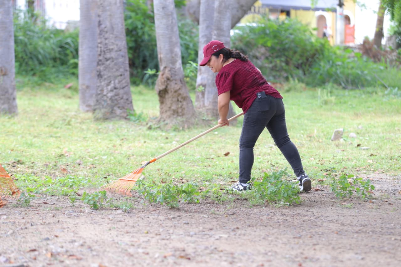 Limpieza de parques y jardines