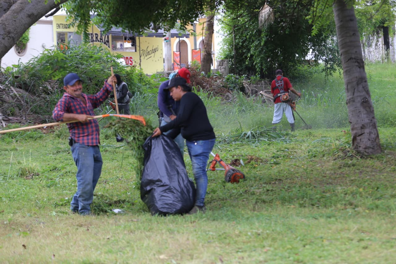 Limpieza de parques y jardines