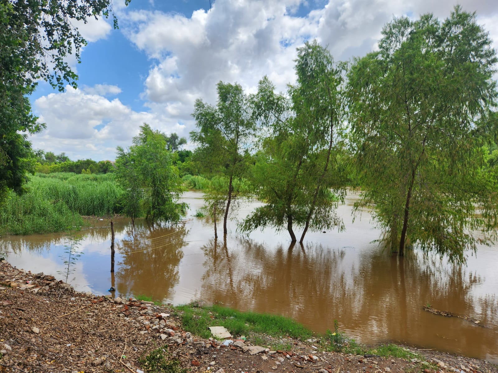 río Sinaloa en Guasave