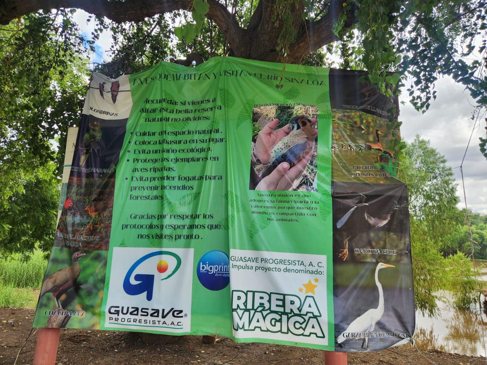 río Sinaloa en Guasave