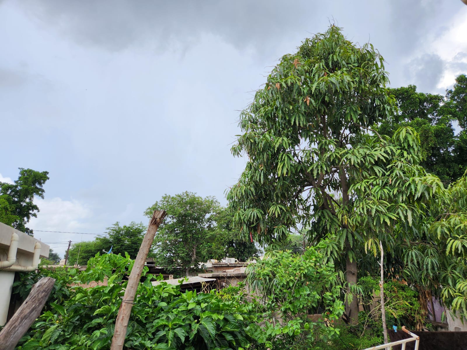Lluvia