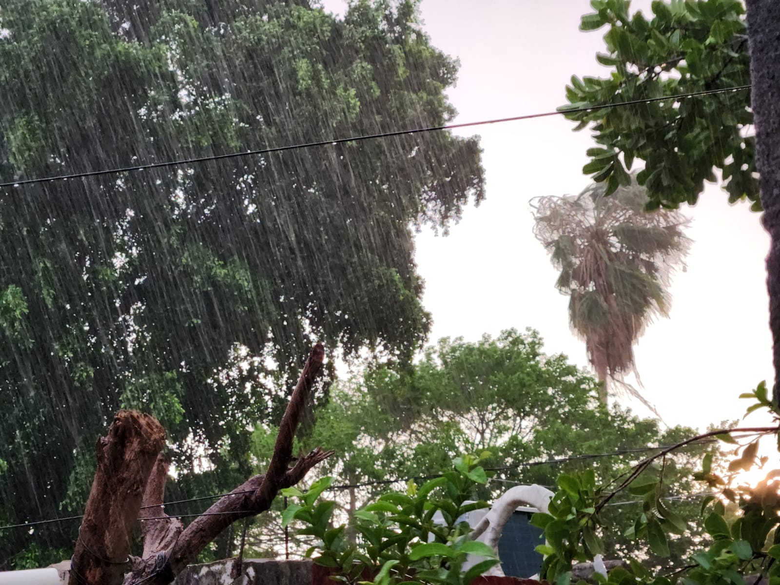 Lluvia en Guasave