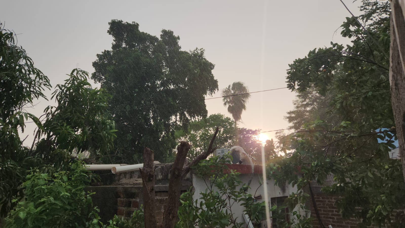 Lluvia en Guasave