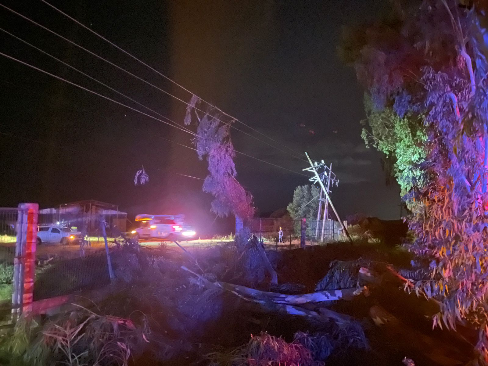 Árboles caídos por lluvia en Mocorito