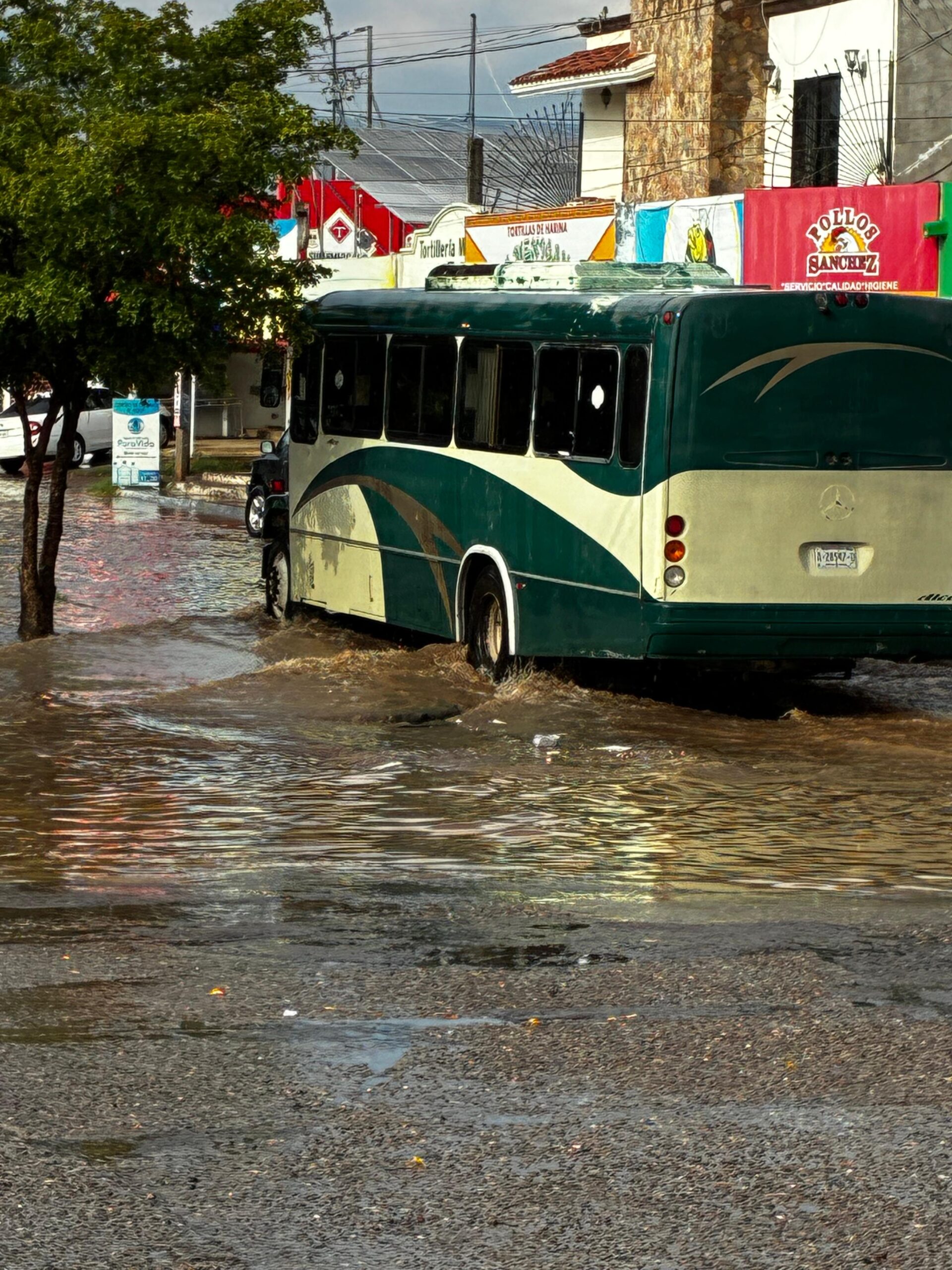 lluvias provocan leves inundaciones en colonias de Los Mochis