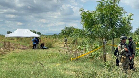 Localizan osamenta humana en una parcela de Villa Juárez, Navolato
