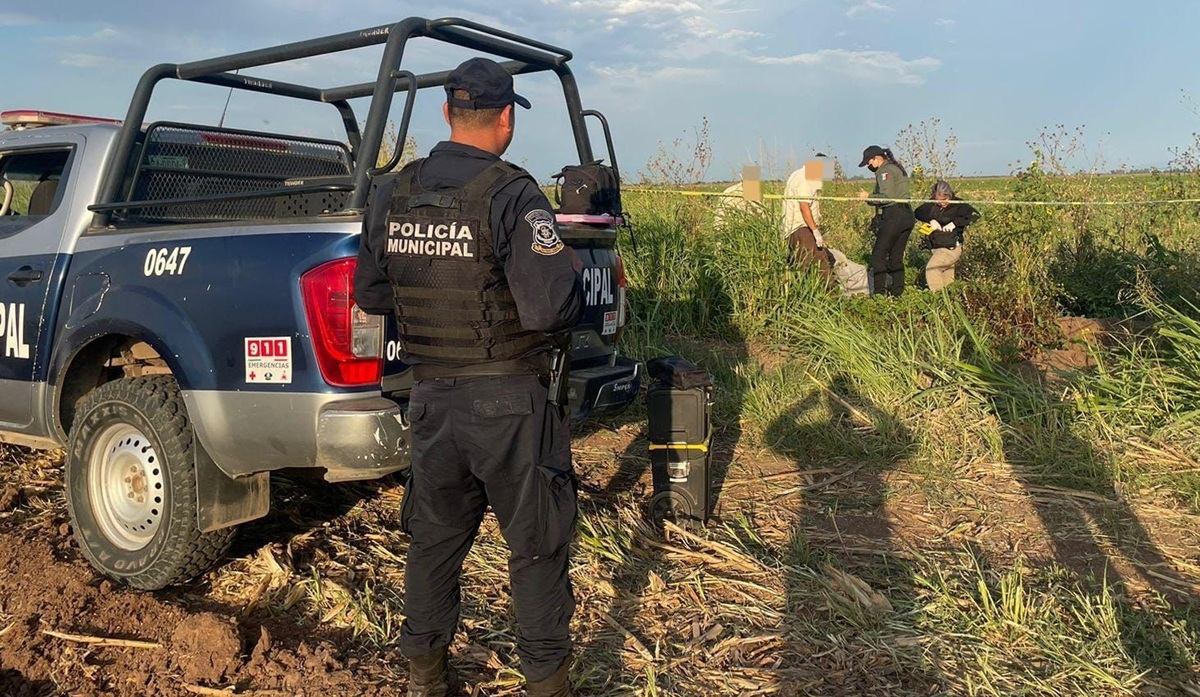 En unas tierras de cultivo fue localizado un muerto en Nío, Guasave