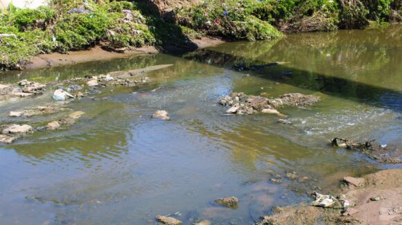 Tala de manglar en Mazatlán va a empeorar inundaciones en colonia Jacarandas: ingeniera