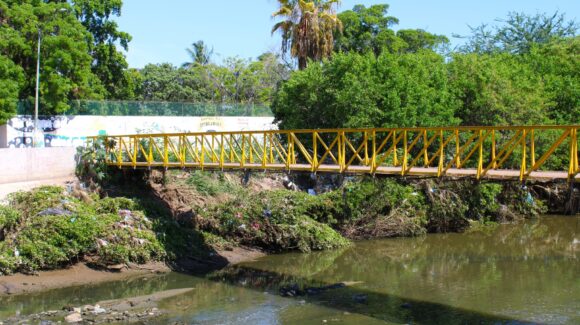 Descarta Rocha que mangle del arroyo Jabalines en Mazatlán se vaya a retirar; se va a podar para evitar inundaciones