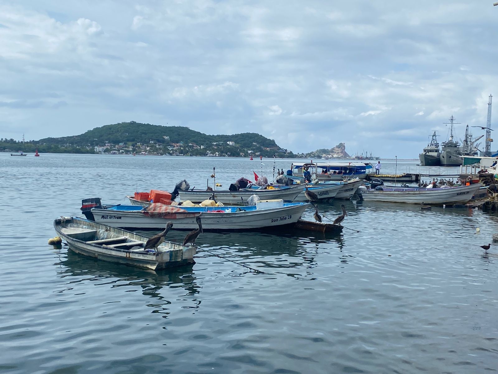 mercado de mariscos en mazatlan pesca