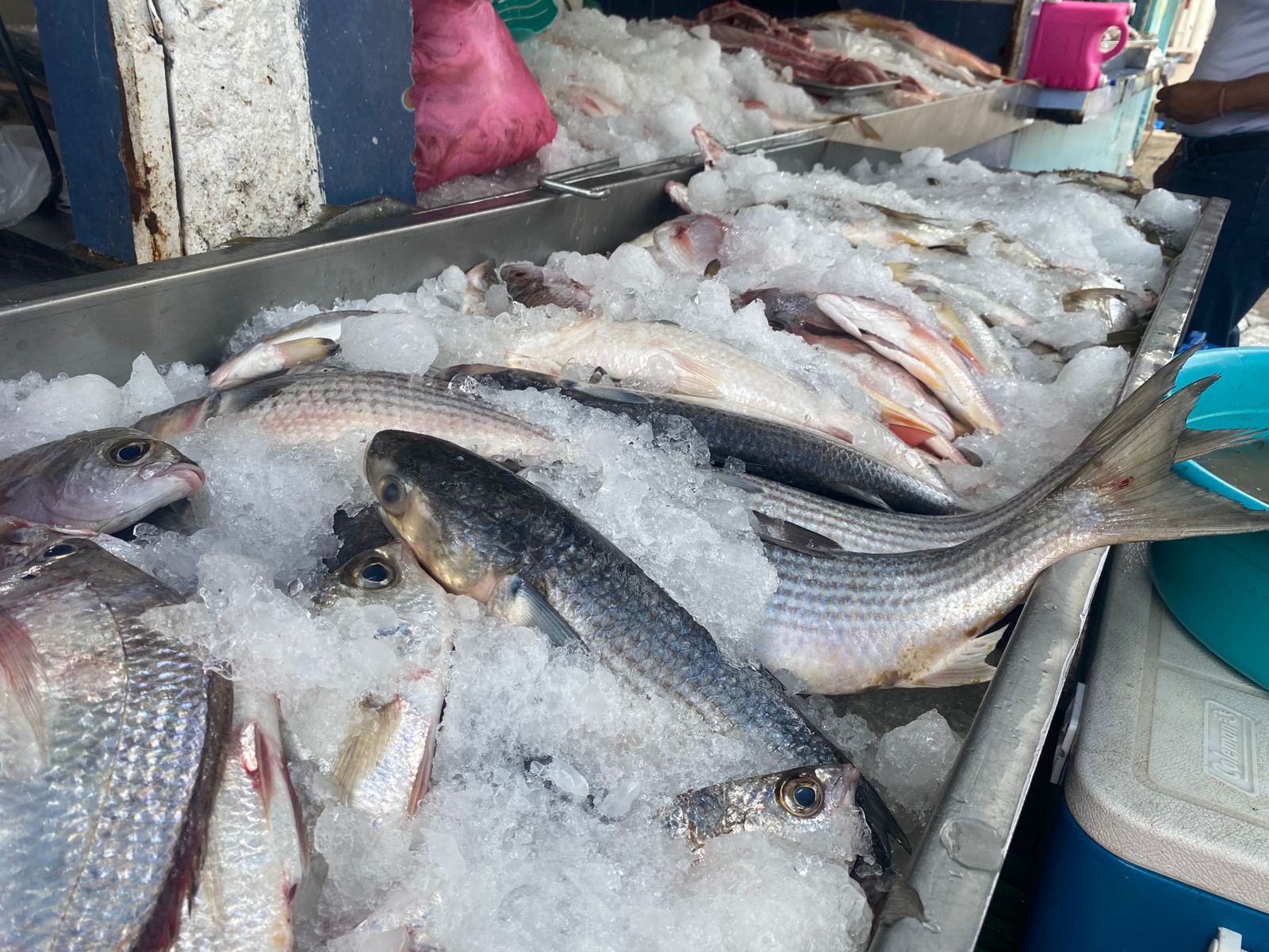 mercado de mariscos en mazatlan