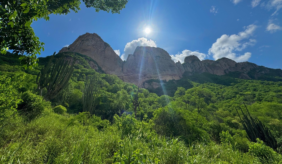 Cerros en Choix, Sinaloa