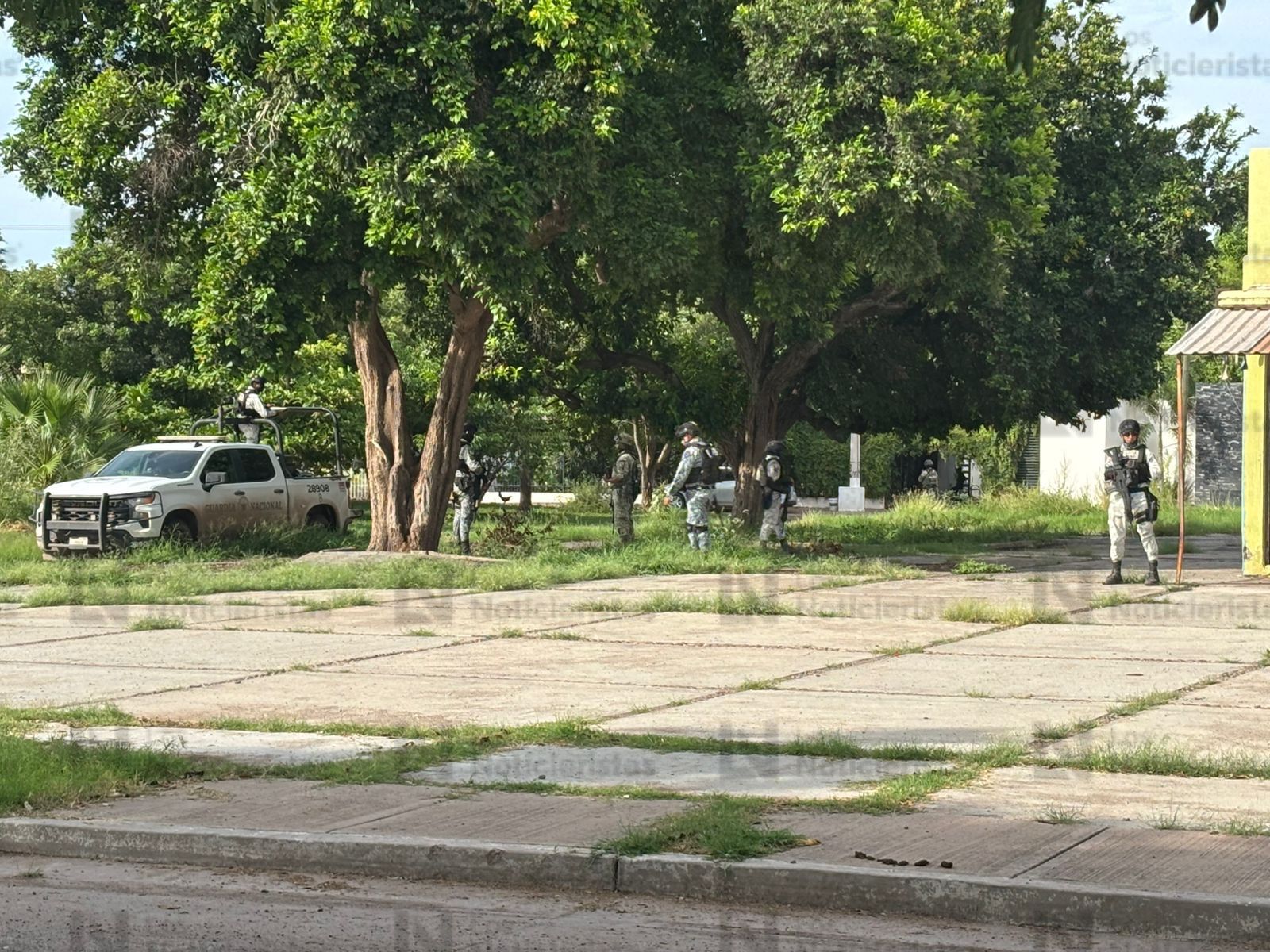 Ejecutan a una mujer en El Tamarindo, Culiacán
