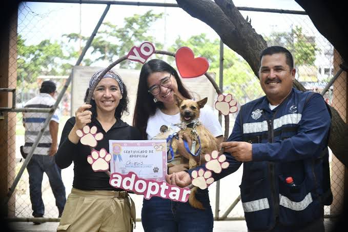 Mujer joven adopta mascota