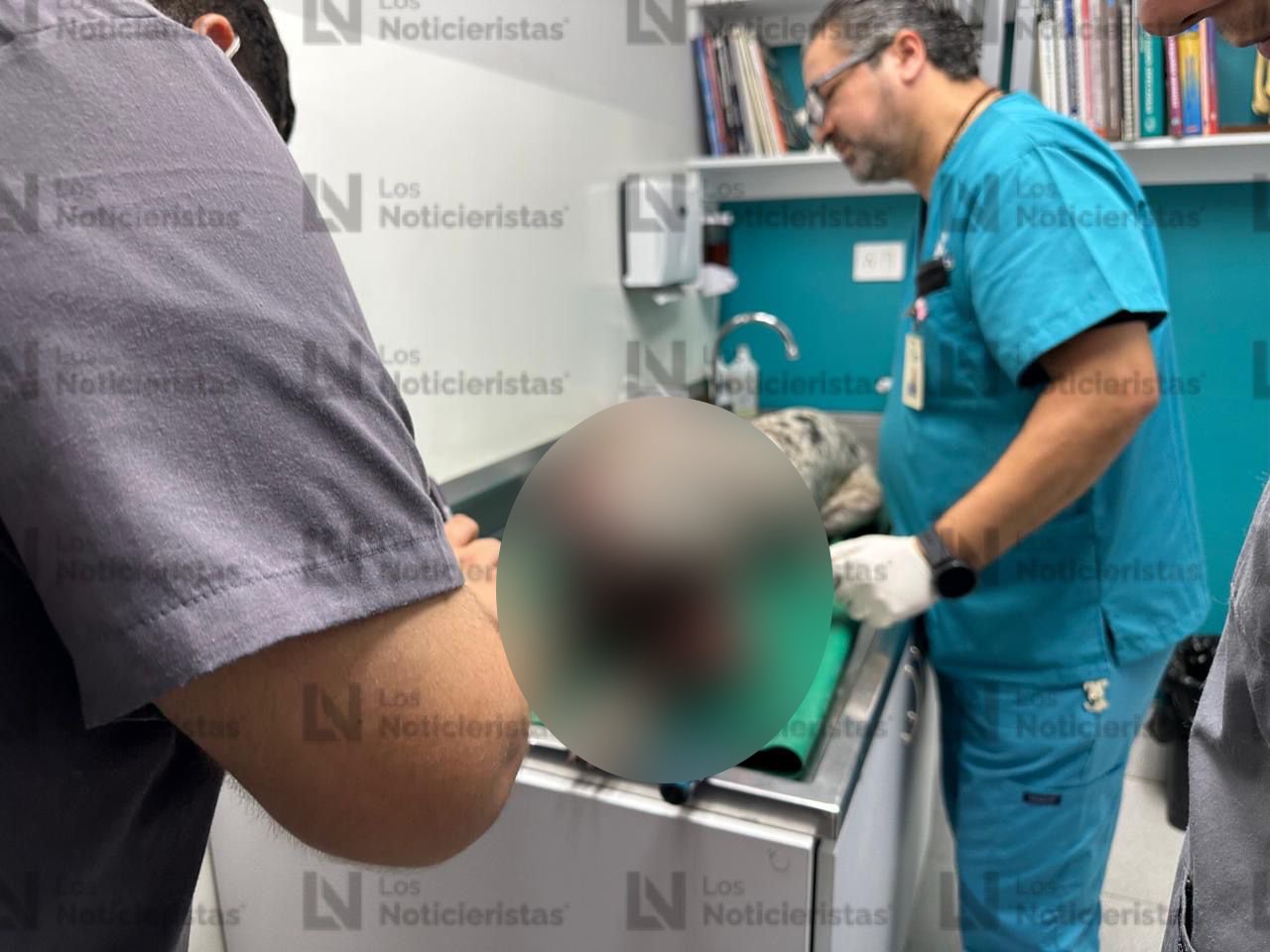 perrito atacado a machetazos en Costa Rica Culiacán