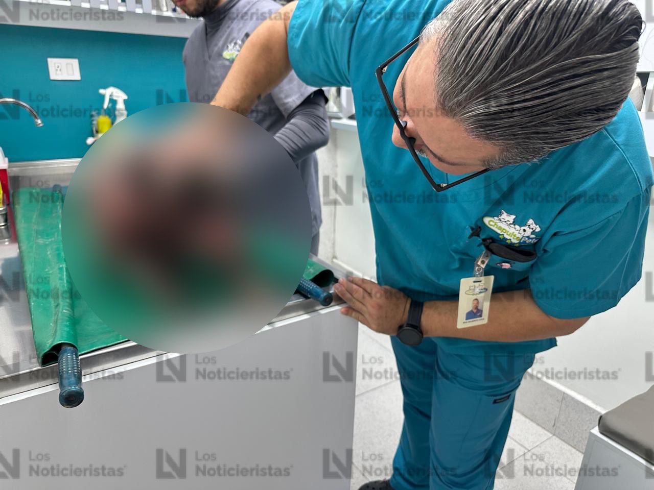 perrito atacado a machetazos en Costa Rica Culiacán