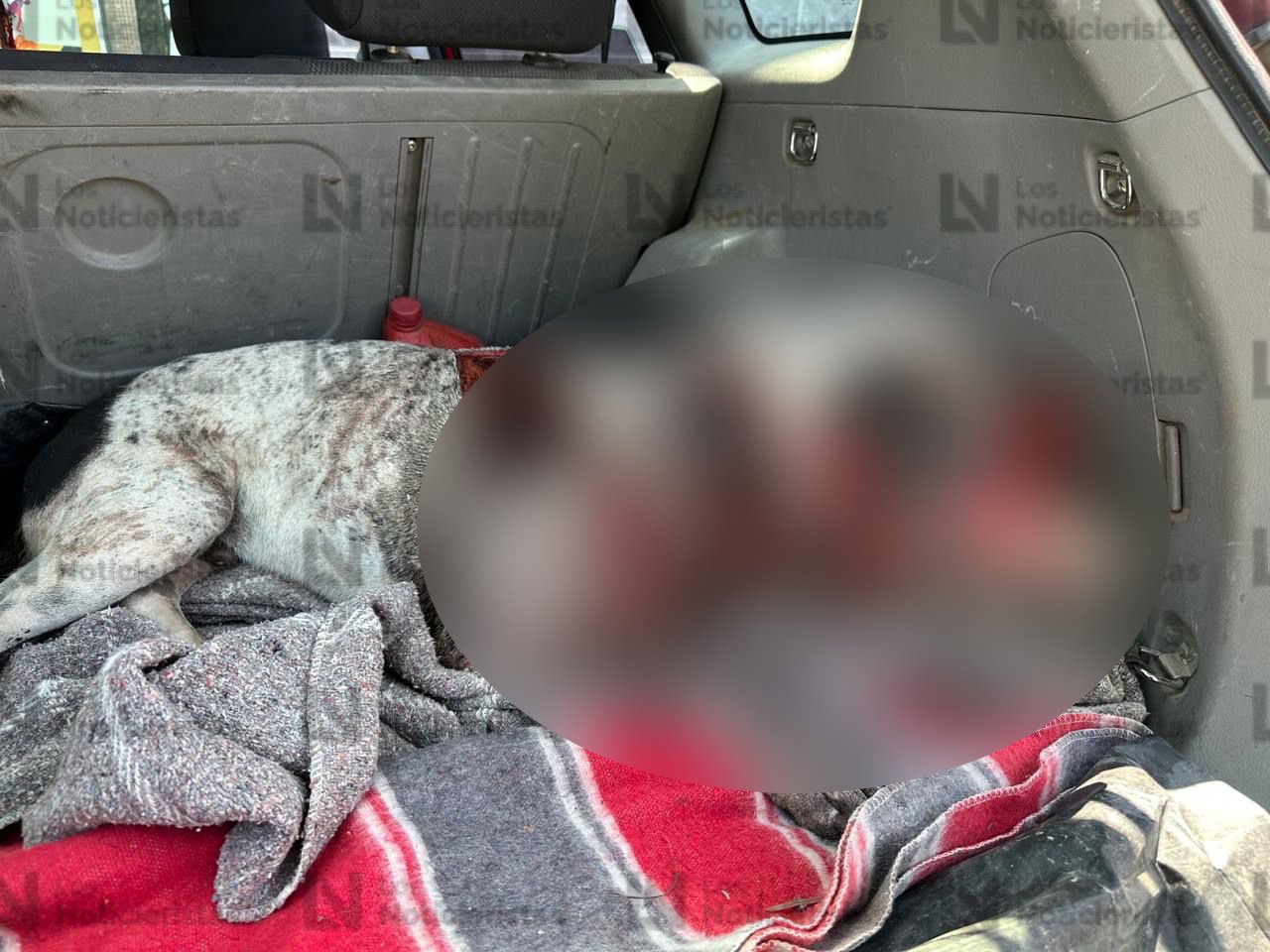 perrito atacado a machetazos en Costa Rica Culiacán