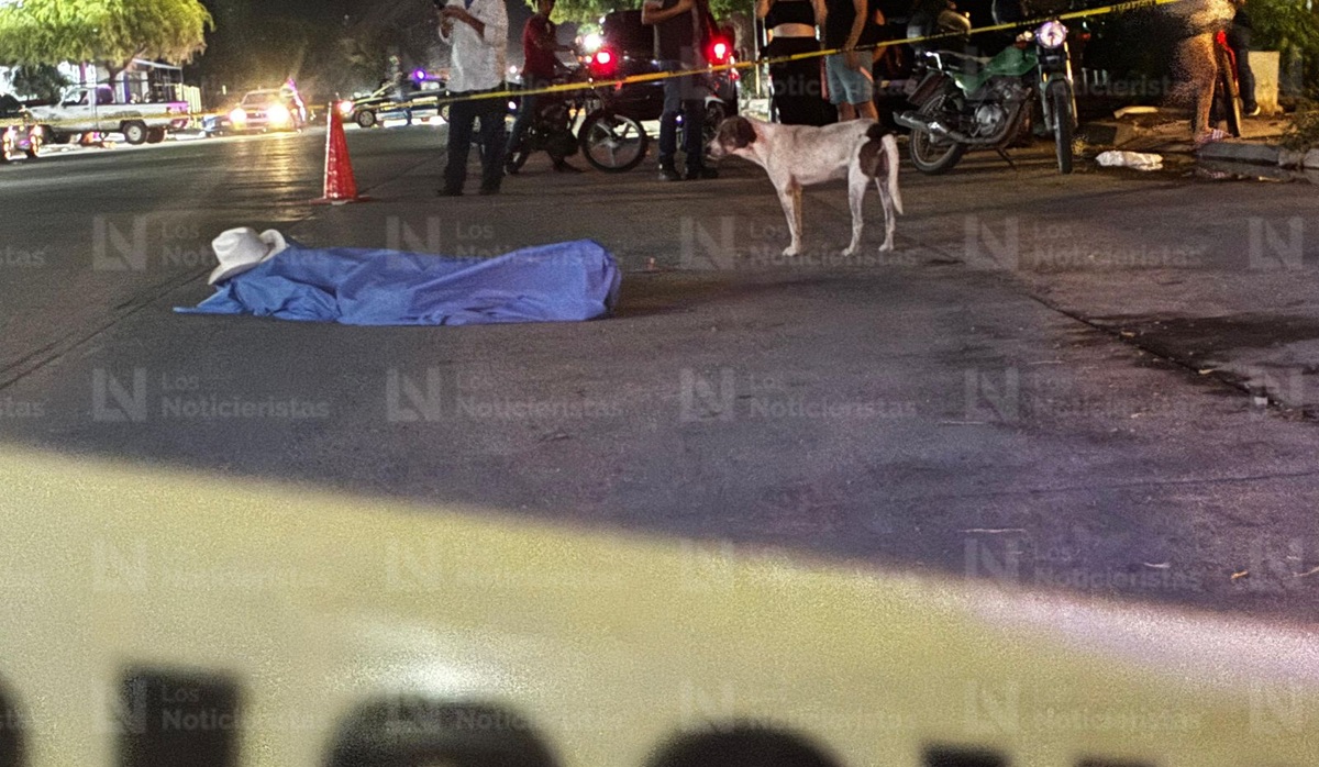 Perrito observa a su dueño sin vida, luego de ser atropellado en Los Mochis