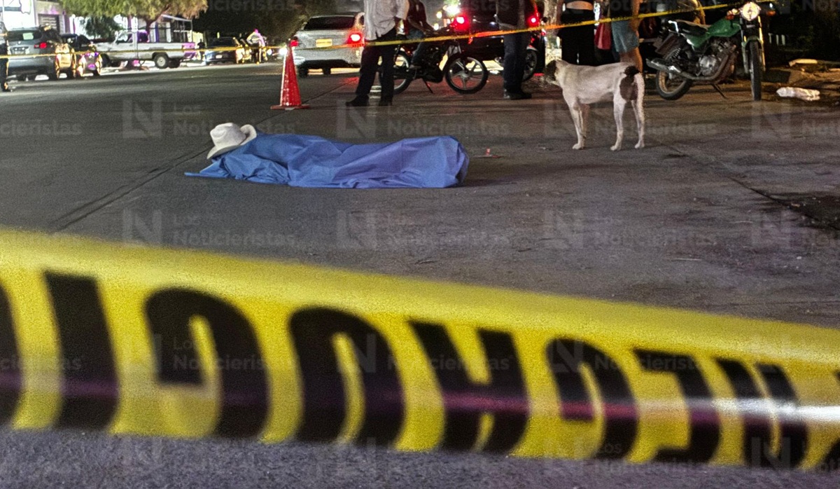 Perrito observa a su dueño sin vida, luego de ser atropellado en Los Mochis
