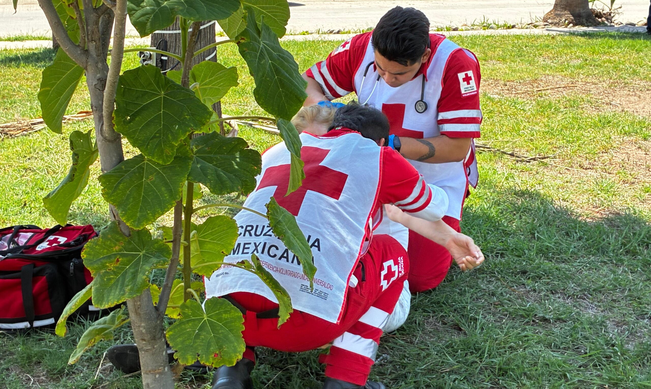 personas adultas atacadas por abejas en los mochis cruz roja